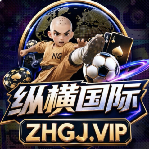 纵横国际